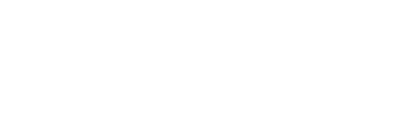 Puzzle Dev